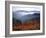 View of Mount Hood with Wild Huckleberry Bushes in Foreground, Columbia River Gorge, Washington-Steve Terrill-Framed Photographic Print