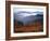 View of Mount Hood with Wild Huckleberry Bushes in Foreground, Columbia River Gorge, Washington-Steve Terrill-Framed Photographic Print