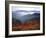 View of Mount Hood with Wild Huckleberry Bushes in Foreground, Columbia River Gorge, Washington-Steve Terrill-Framed Photographic Print