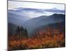 View of Mount Hood with Wild Huckleberry Bushes in Foreground, Columbia River Gorge, Washington-Steve Terrill-Mounted Photographic Print