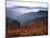 View of Mount Hood with Wild Huckleberry Bushes in Foreground, Columbia River Gorge, Washington-Steve Terrill-Mounted Photographic Print