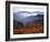 View of Mount Hood with Wild Huckleberry Bushes in Foreground, Columbia River Gorge, Washington-Steve Terrill-Framed Photographic Print