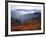 View of Mount Hood with Wild Huckleberry Bushes in Foreground, Columbia River Gorge, Washington-Steve Terrill-Framed Photographic Print