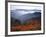 View of Mount Hood with Wild Huckleberry Bushes in Foreground, Columbia River Gorge, Washington-Steve Terrill-Framed Photographic Print