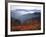 View of Mount Hood with Wild Huckleberry Bushes in Foreground, Columbia River Gorge, Washington-Steve Terrill-Framed Photographic Print