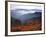 View of Mount Hood with Wild Huckleberry Bushes in Foreground, Columbia River Gorge, Washington-Steve Terrill-Framed Photographic Print