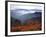 View of Mount Hood with Wild Huckleberry Bushes in Foreground, Columbia River Gorge, Washington-Steve Terrill-Framed Photographic Print