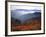 View of Mount Hood with Wild Huckleberry Bushes in Foreground, Columbia River Gorge, Washington-Steve Terrill-Framed Photographic Print