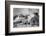 View of Mount Rushmore in Progress-Bettmann-Framed Photographic Print