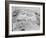 View of Mount Rushmore-Philip Gendreau-Framed Photographic Print