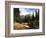 View of Mountain Stream, Glacier National Park, Montana, USA-Adam Jones-Framed Photographic Print