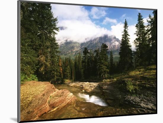 View of Mountain Stream, Glacier National Park, Montana, USA-Adam Jones-Mounted Photographic Print