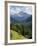 View of Mountains, La Plie Pieve, Belluno Province, Dolomites, Italy, Europe-Frank Fell-Framed Photographic Print