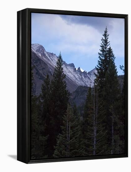 View of Moutains Near Bear Lake in Rocky Mountain National Park-Anna Miller-Framed Premier Image Canvas