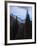 View of Moutains Near Bear Lake in Rocky Mountain National Park-Anna Miller-Framed Photographic Print