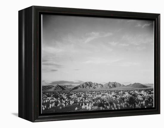 View Of Mts Desert Shrubs Highlighted Fgnd, Death Valley National Monument, California 1933-1942-Ansel Adams-Framed Stretched Canvas