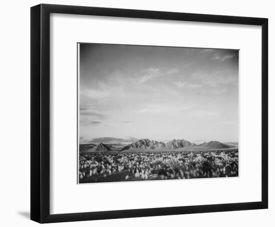 View Of Mts Desert Shrubs Highlighted Fgnd, Death Valley National Monument, California 1933-1942-Ansel Adams-Framed Art Print