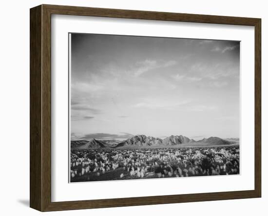 View Of Mts Desert Shrubs Highlighted Fgnd, Death Valley National Monument, California 1933-1942-Ansel Adams-Framed Art Print