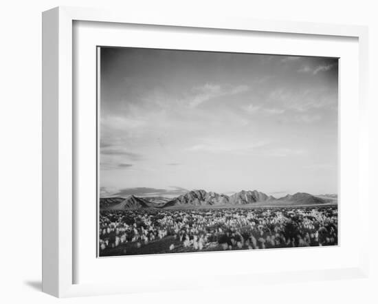 View Of Mts Desert Shrubs Highlighted Fgnd, Death Valley National Monument, California 1933-1942-Ansel Adams-Framed Art Print