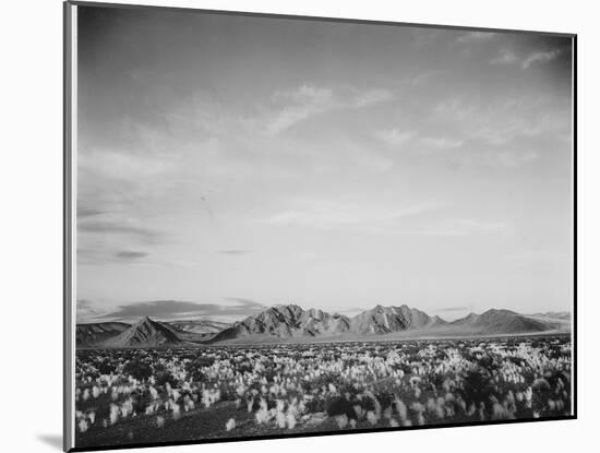 View Of Mts Desert Shrubs Highlighted Fgnd, Death Valley National Monument, California 1933-1942-Ansel Adams-Mounted Art Print