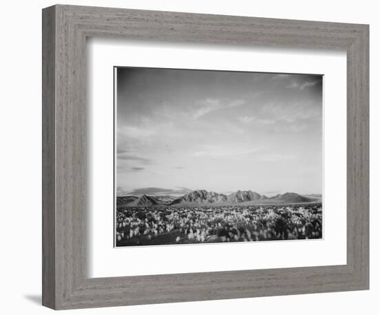 View Of Mts Desert Shrubs Highlighted Fgnd, Death Valley National Monument, California 1933-1942-Ansel Adams-Framed Art Print