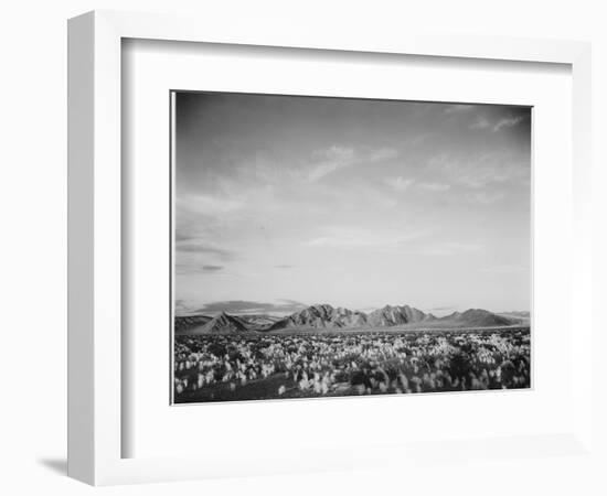 View Of Mts Desert Shrubs Highlighted Fgnd, Death Valley National Monument, California 1933-1942-Ansel Adams-Framed Art Print