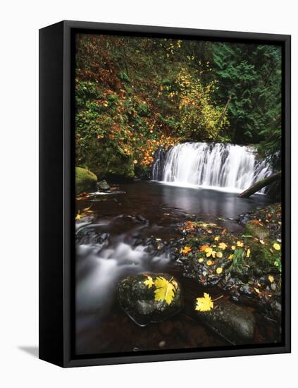 View of Multnomah Creek, Columbia River Gorge, Oregon, USA-Stuart Westmorland-Framed Premier Image Canvas