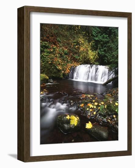 View of Multnomah Creek, Columbia River Gorge, Oregon, USA-Stuart Westmorland-Framed Photographic Print