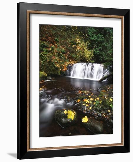 View of Multnomah Creek, Columbia River Gorge, Oregon, USA-Stuart Westmorland-Framed Photographic Print