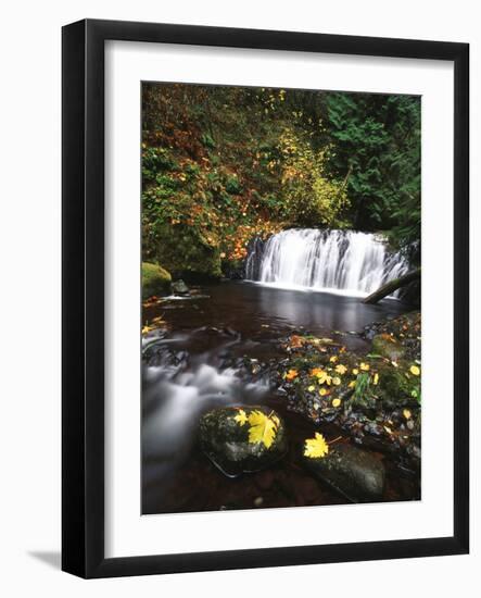 View of Multnomah Creek, Columbia River Gorge, Oregon, USA-Stuart Westmorland-Framed Photographic Print