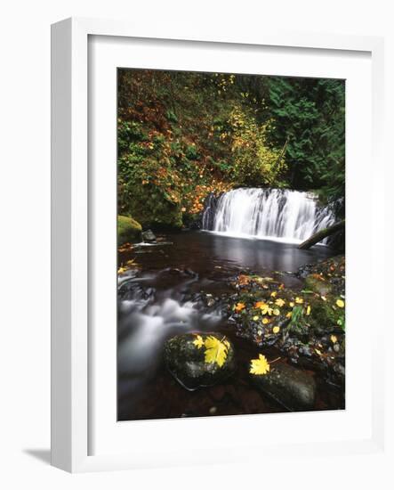 View of Multnomah Creek, Columbia River Gorge, Oregon, USA-Stuart Westmorland-Framed Photographic Print