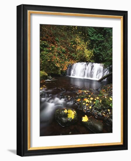 View of Multnomah Creek, Columbia River Gorge, Oregon, USA-Stuart Westmorland-Framed Photographic Print