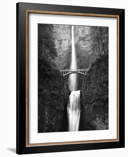 View of Multnomah Falls in Columbia Gorge, Oregon, USA-Walter Bibikow-Framed Photographic Print