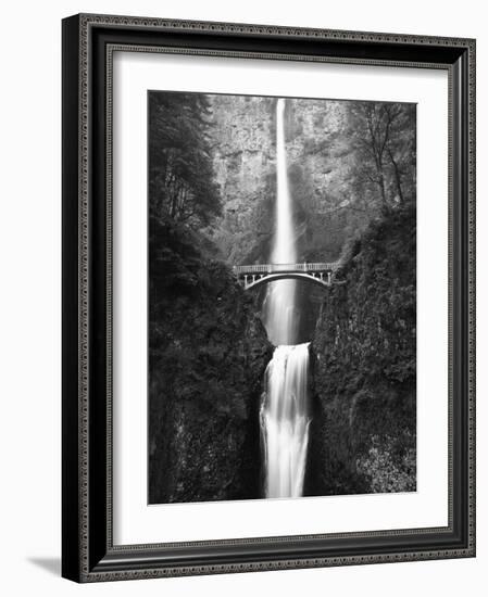 View of Multnomah Falls in Columbia Gorge, Oregon, USA-Walter Bibikow-Framed Photographic Print