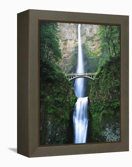 View of Multnomah Falls in Columbia Gorge, Oregon, USA-Walter Bibikow-Framed Premier Image Canvas