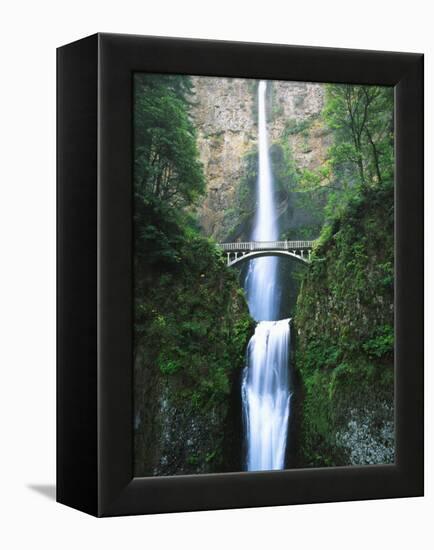 View of Multnomah Falls in Columbia Gorge, Oregon, USA-Walter Bibikow-Framed Premier Image Canvas