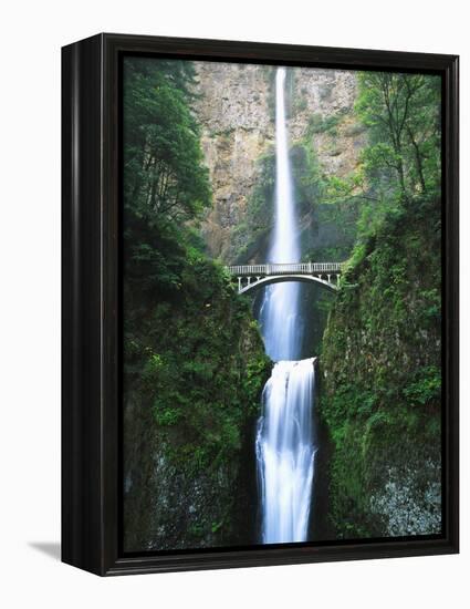 View of Multnomah Falls in Columbia Gorge, Oregon, USA-Walter Bibikow-Framed Premier Image Canvas