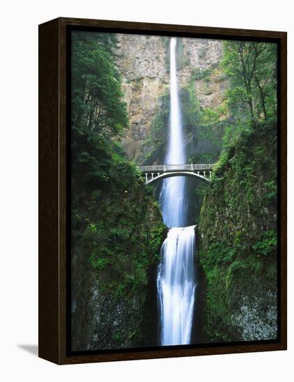 View of Multnomah Falls in Columbia Gorge, Oregon, USA-Walter Bibikow-Framed Premier Image Canvas