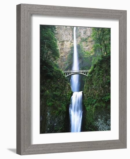 View of Multnomah Falls in Columbia Gorge, Oregon, USA-Walter Bibikow-Framed Photographic Print