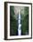 View of Multnomah Falls in Columbia Gorge, Oregon, USA-Walter Bibikow-Framed Photographic Print