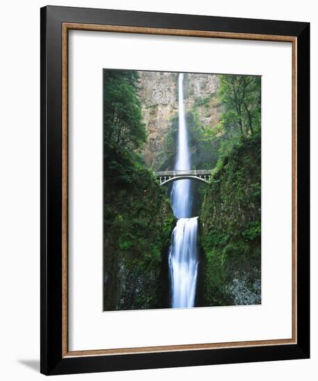 View of Multnomah Falls in Columbia Gorge, Oregon, USA-Walter Bibikow-Framed Photographic Print