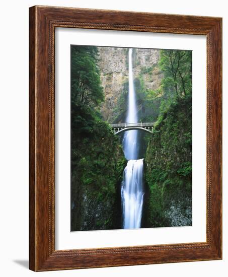 View of Multnomah Falls in Columbia Gorge, Oregon, USA-Walter Bibikow-Framed Photographic Print