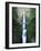 View of Multnomah Falls in Columbia Gorge, Oregon, USA-Walter Bibikow-Framed Photographic Print