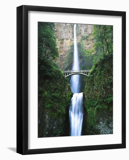 View of Multnomah Falls in Columbia Gorge, Oregon, USA-Walter Bibikow-Framed Photographic Print