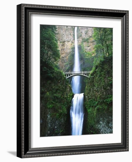 View of Multnomah Falls in Columbia Gorge, Oregon, USA-Walter Bibikow-Framed Photographic Print