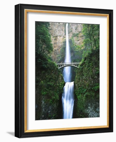 View of Multnomah Falls in Columbia Gorge, Oregon, USA-Walter Bibikow-Framed Photographic Print