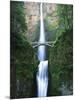 View of Multnomah Falls in Columbia Gorge, Oregon, USA-Walter Bibikow-Mounted Photographic Print