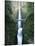 View of Multnomah Falls in Columbia Gorge, Oregon, USA-Walter Bibikow-Mounted Photographic Print