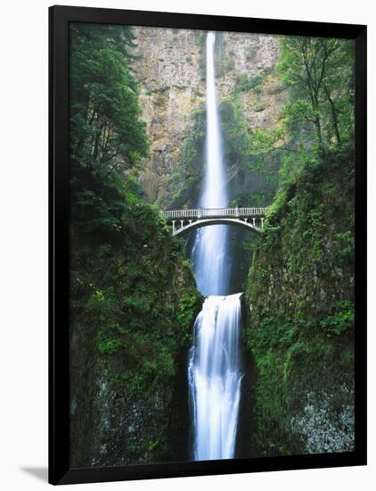 View of Multnomah Falls in Columbia Gorge, Oregon, USA-Walter Bibikow-Framed Photographic Print