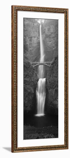 View of Multnomah Falls in Columbia Gorge, Oregon, USA-Walter Bibikow-Framed Photographic Print